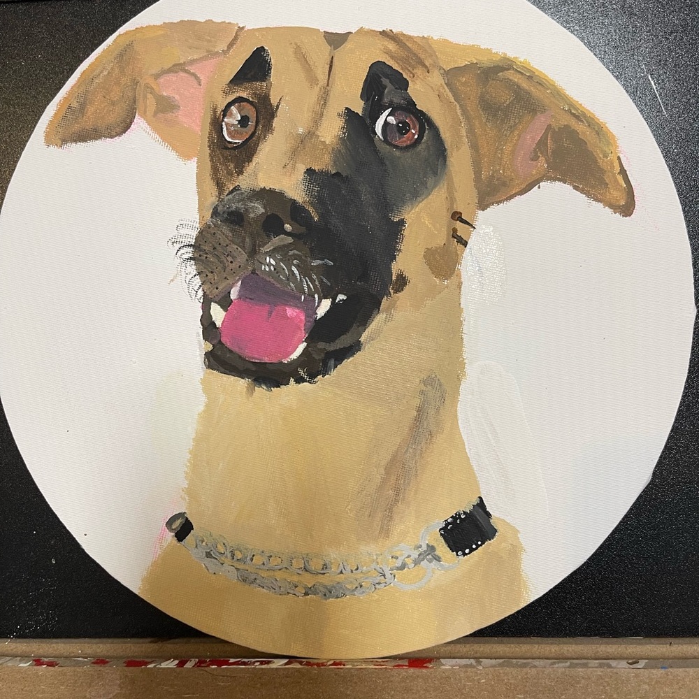 *READ DESCRIPTION* I create custom art (painting, drawing, shirt, shoes)